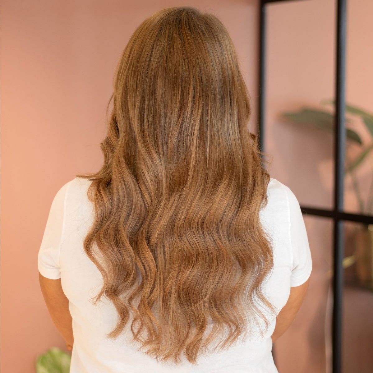 Colorevo hair light colours