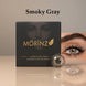 Perfect Look-Gray Eyes Set